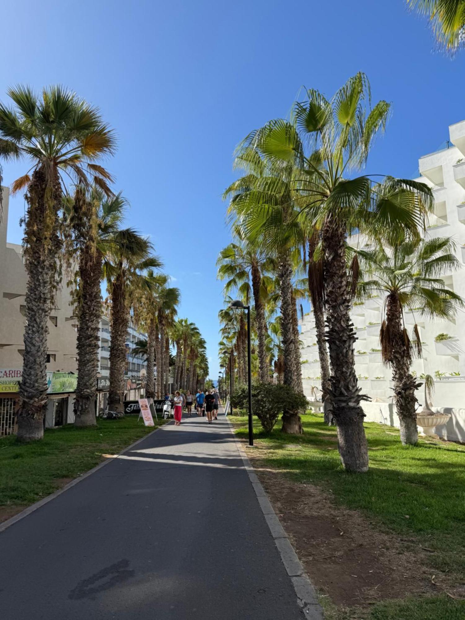 Optimist Playa De Americas Apartment