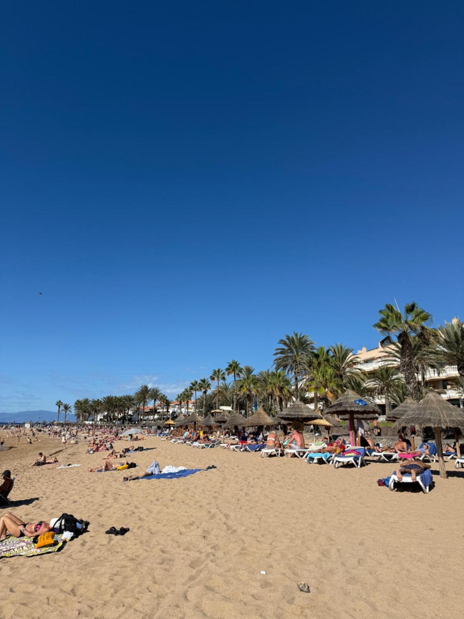 Optimist Playa De Americas Playa de las Americas (Tenerife)