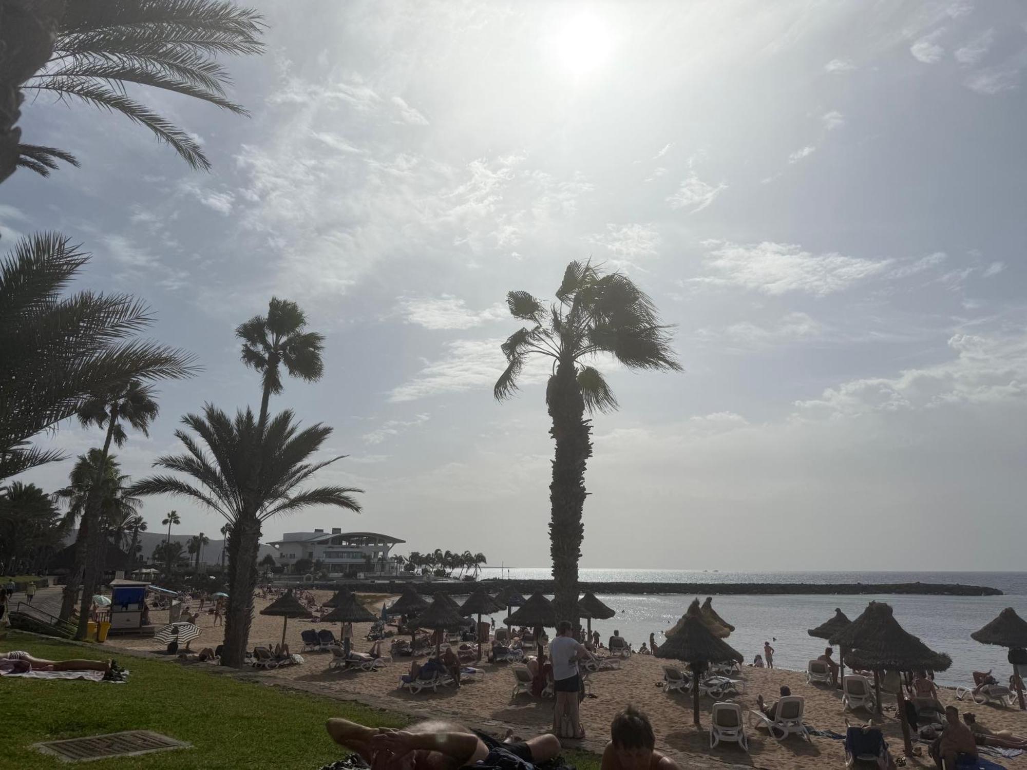 Optimist Playa De Americas *